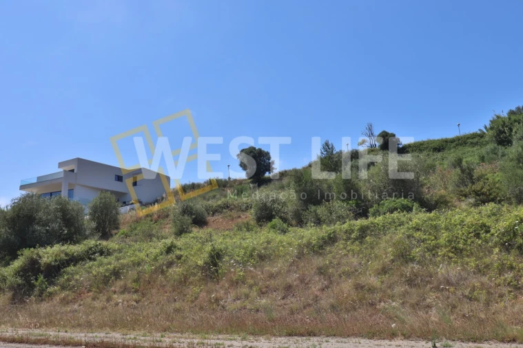 Terreno para Venda em Santo Isidoro Foto 9