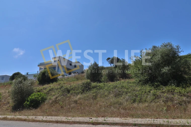 Terreno para Venda em Santo Isidoro Foto 12