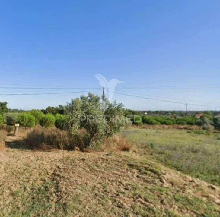 Terreno para Venda em Paialvo Foto 1
