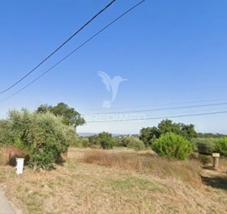 Terreno para Venda em Paialvo Foto 2