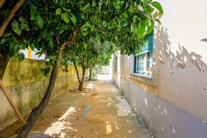Moradia T4 para Venda em Golegã