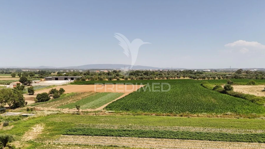Moradia T4 para Venda em Golegã Foto 12