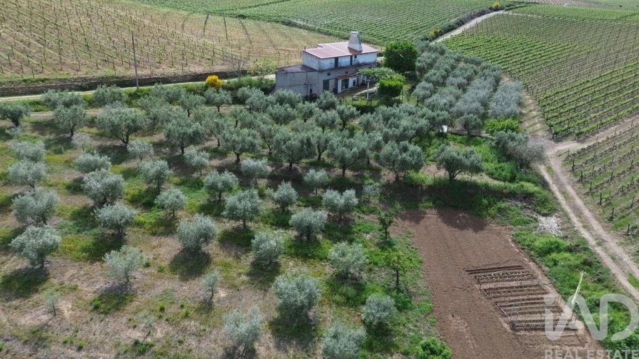 Terreno para Venda em Castedo e Cotas Foto 16