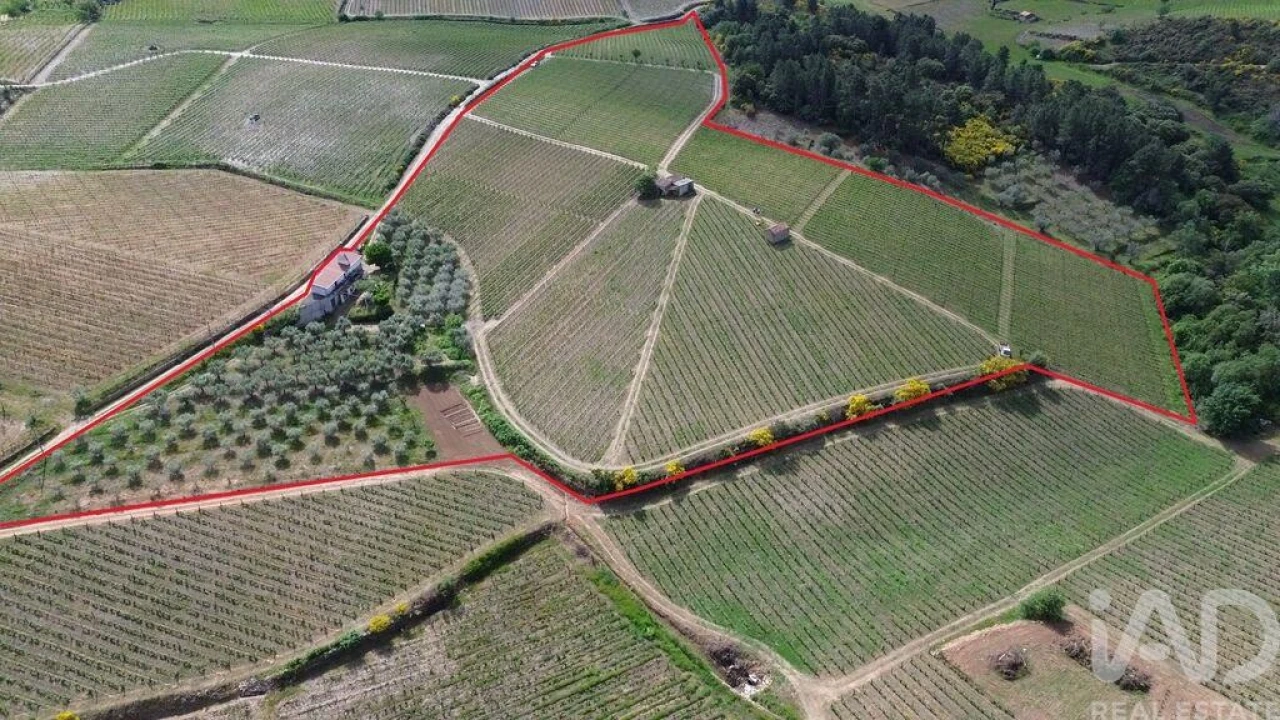 Terreno para Venda em Castedo e Cotas Foto 3