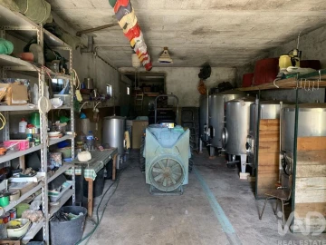 Terreno para Venda em Castedo e Cotas