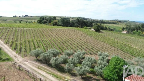 Terreno para Venda em Castedo e Cotas