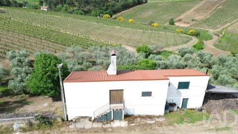 Terreno para Venda em Castedo e Cotas