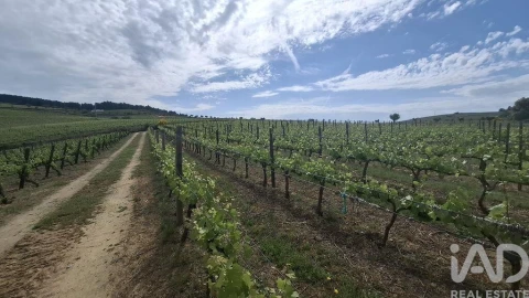 Terreno para Venda em Castedo e Cotas