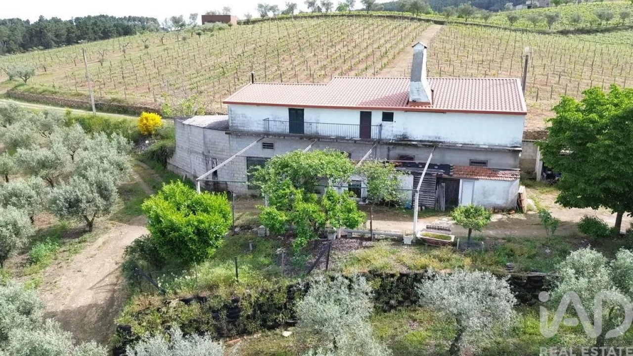 Terreno para Venda em Castedo e Cotas Foto 1