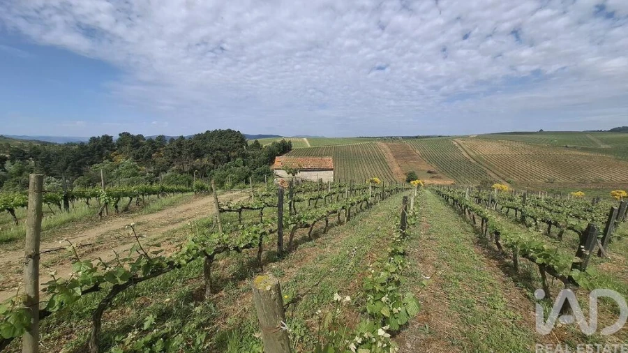 Terreno para Venda em Castedo e Cotas Foto 10