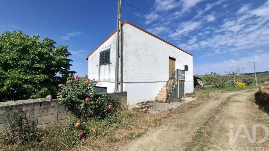 Terreno para Venda em Castedo e Cotas Foto 4