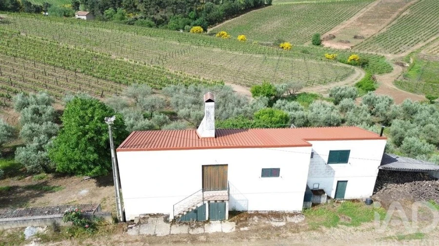 Terreno para Venda em Castedo e Cotas Foto 2
