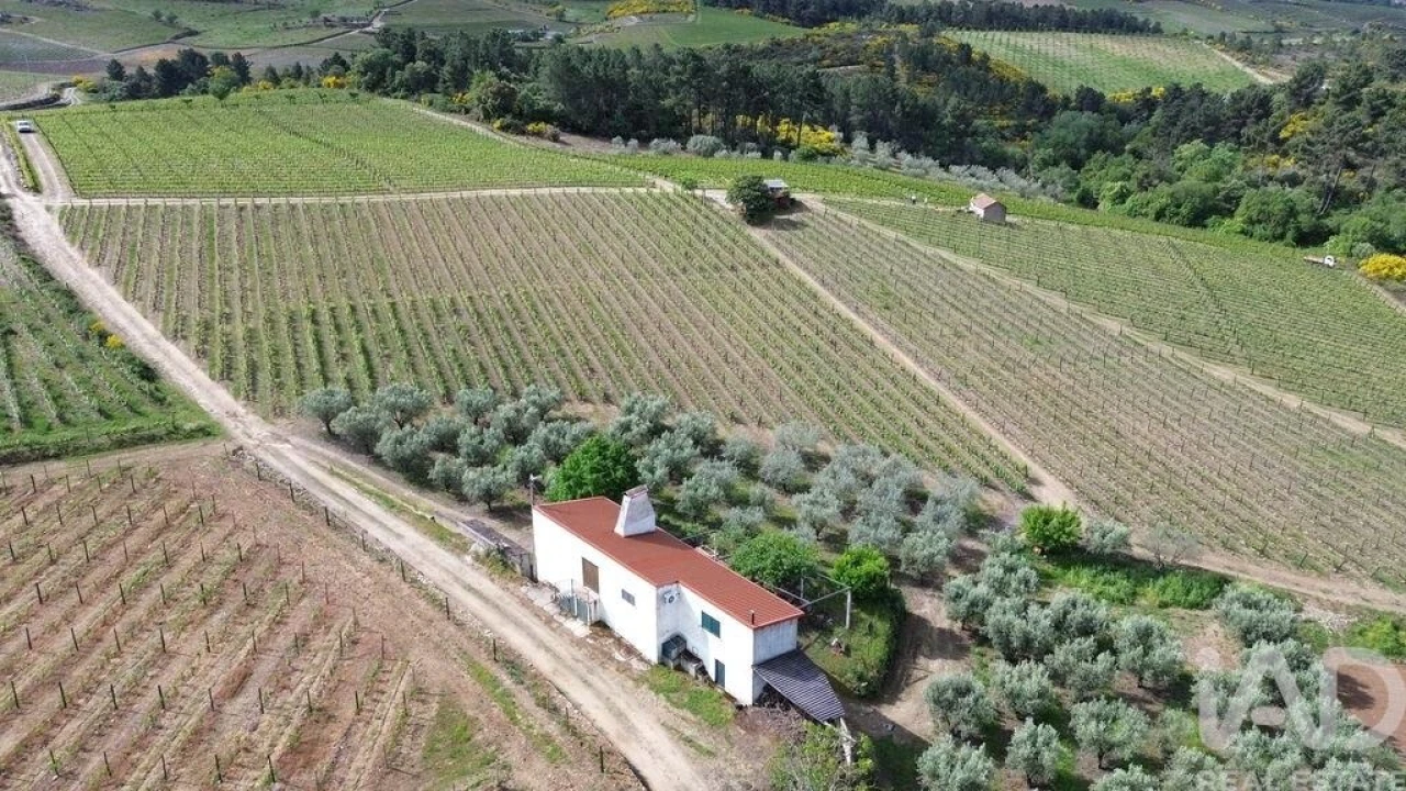 Terreno para Venda em Castedo e Cotas Foto 15