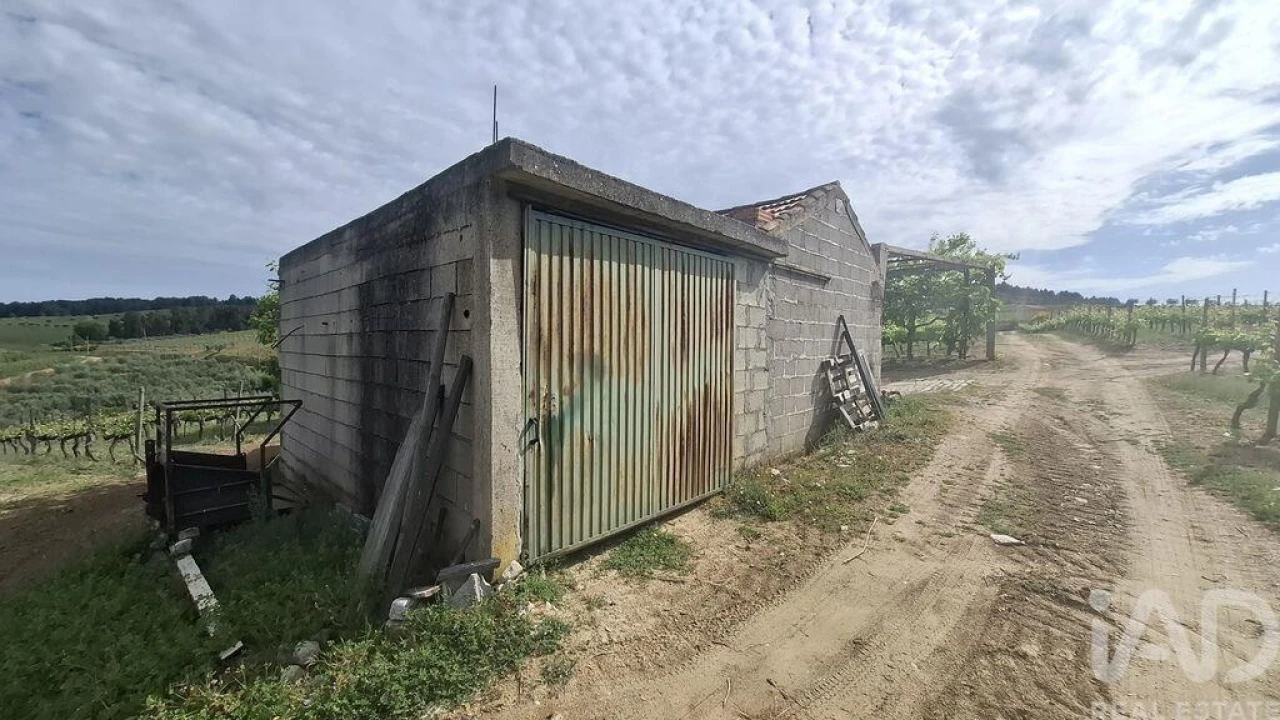 Terreno para Venda em Castedo e Cotas Foto 9