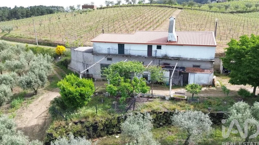 Terreno para Venda em Castedo e Cotas