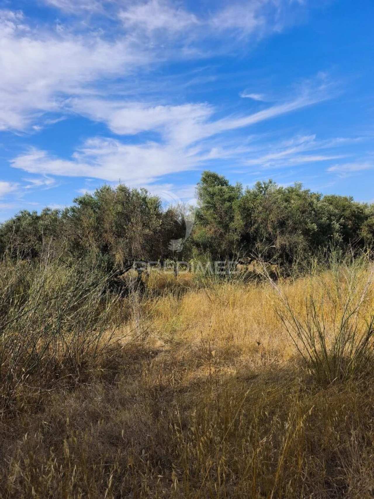 Terreno para Venda em Paderne Foto 1