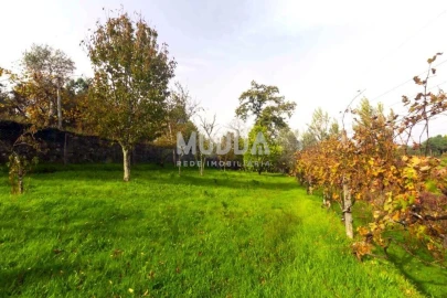 Terreno para Venda em Oliveira do Douro