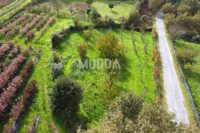 Terreno para Venda em Oliveira do Douro