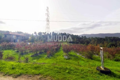 Terreno para Venda em Oliveira do Douro