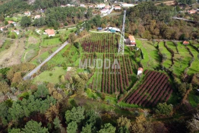 Terreno para Venda em Oliveira do Douro