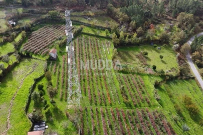 Terreno para Venda em Oliveira do Douro