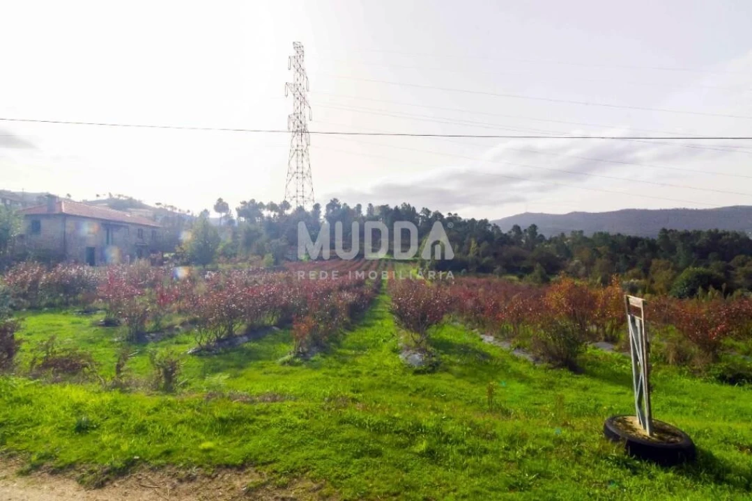 Terreno para Venda em Oliveira do Douro Foto 13