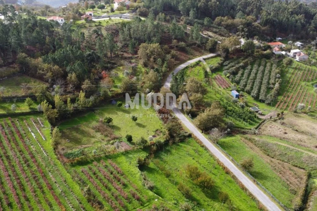 Terreno para Venda em Oliveira do Douro Foto 11