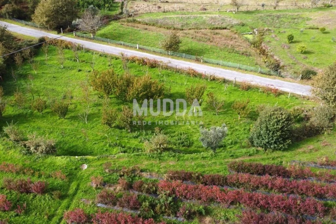 Terreno para Venda em Oliveira do Douro Foto 10