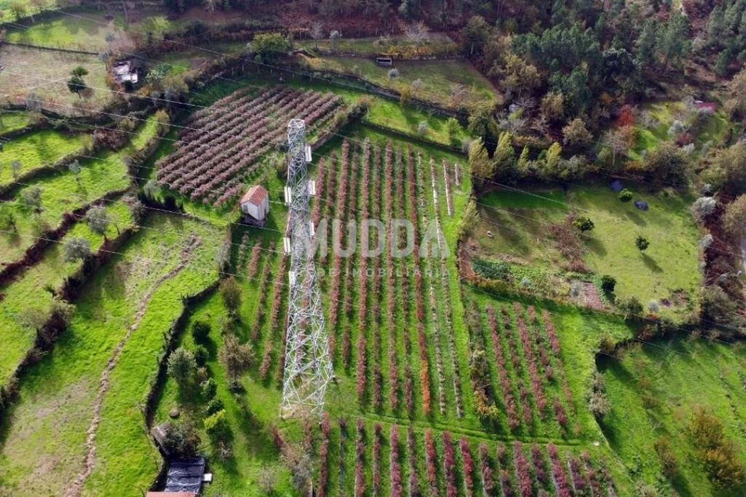 Terreno para Venda em Oliveira do Douro Foto 3