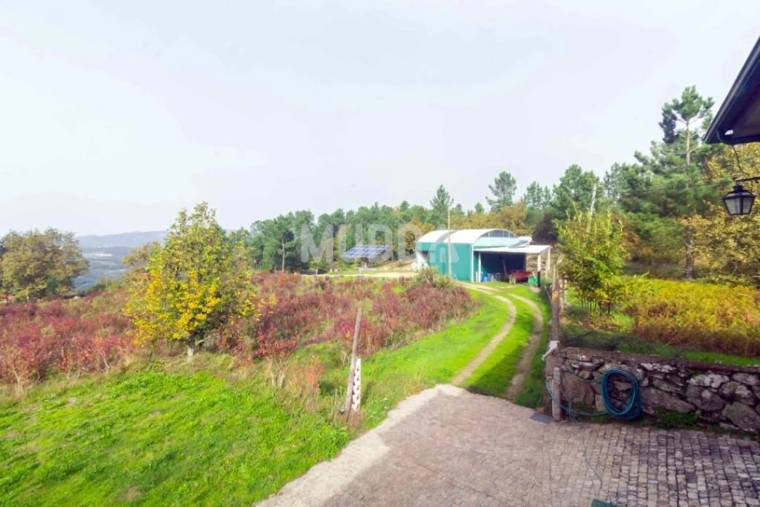 Terreno para Venda em Oliveira do Douro Foto 21