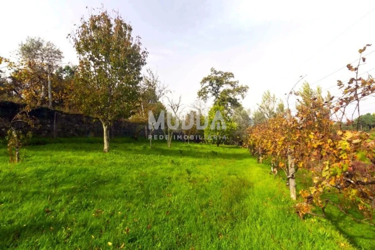 Terreno para Venda em Oliveira do Douro Foto 15