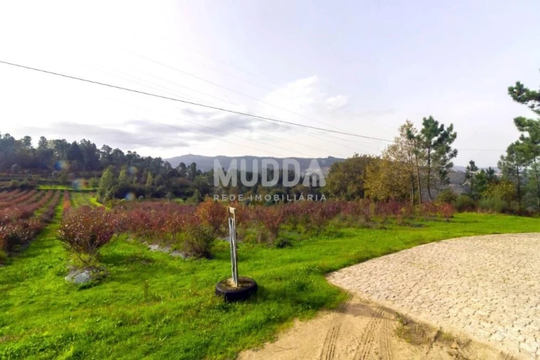 Terreno para Venda em Oliveira do Douro Foto 12