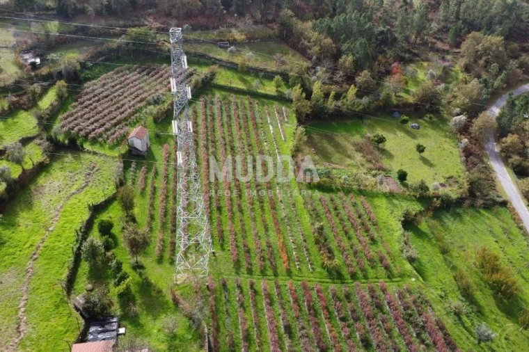 Terreno para Venda em Oliveira do Douro Foto 6