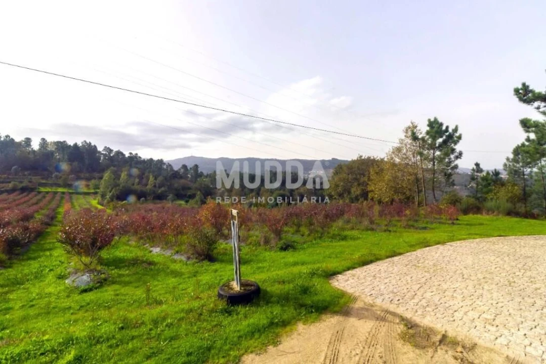 Terreno para Venda em Oliveira do Douro Foto 12