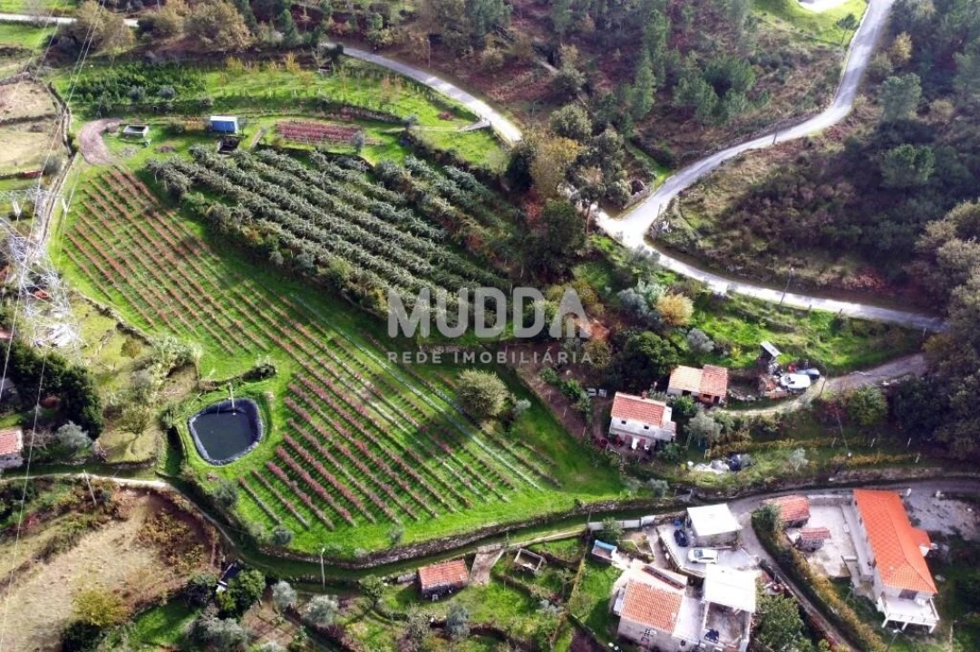Terreno para Venda em Oliveira do Douro Foto 1