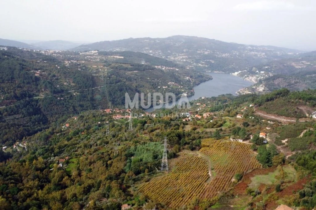 Terreno para Venda em Oliveira do Douro Foto 2