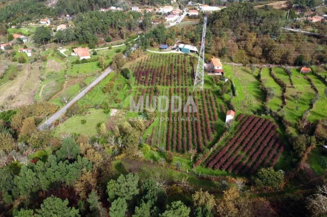 Terreno para Venda em Oliveira do Douro Foto 4