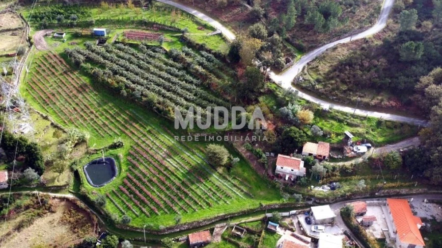 Terreno para Venda em Oliveira do Douro