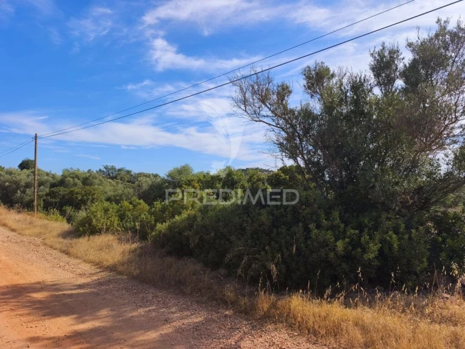 Terreno para Venda em Paderne Foto 5