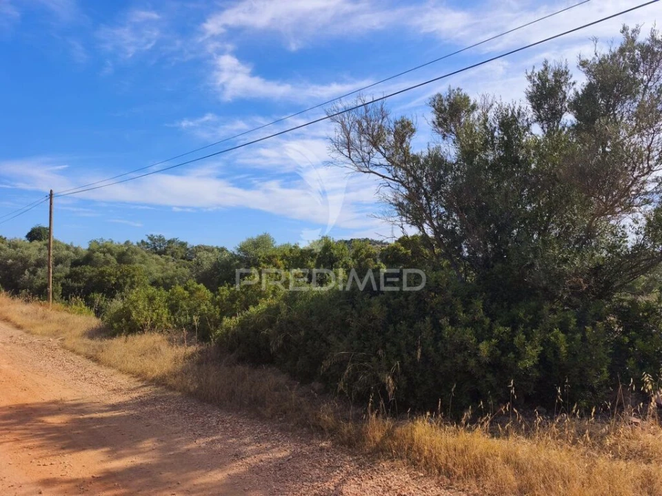Terreno para Venda em Paderne Foto 5