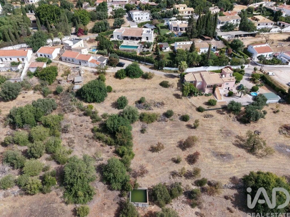 Terreno para Venda em Loule (São Sebastião) Foto 12