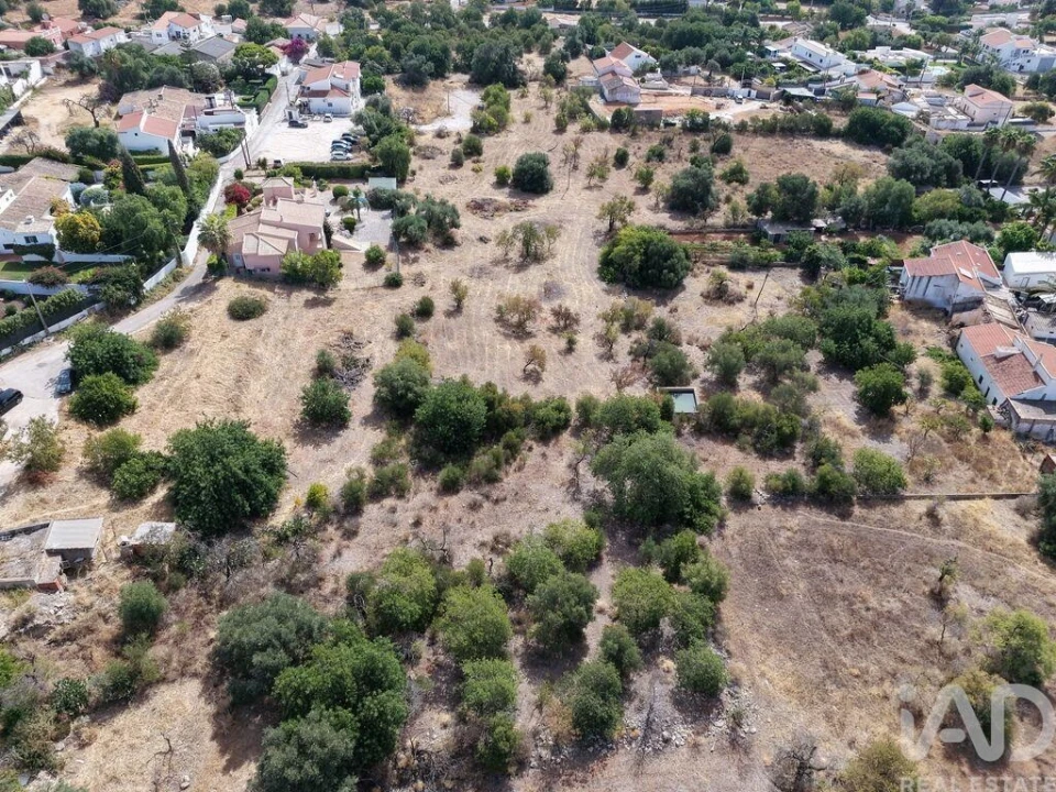 Terreno para Venda em Loule (São Sebastião) Foto 11