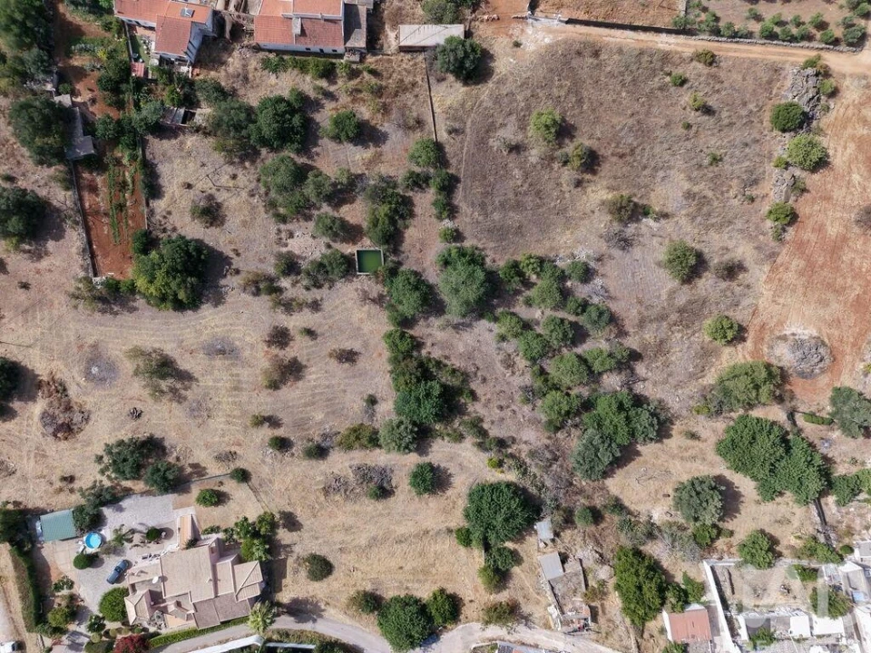 Terreno para Venda em Loule (São Sebastião) Foto 3