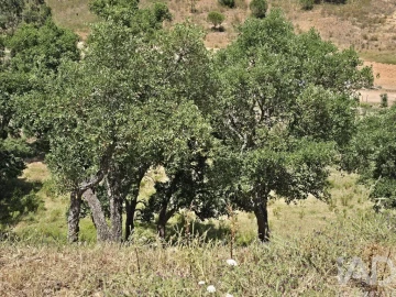 Moradia T2 para Venda em Saboia