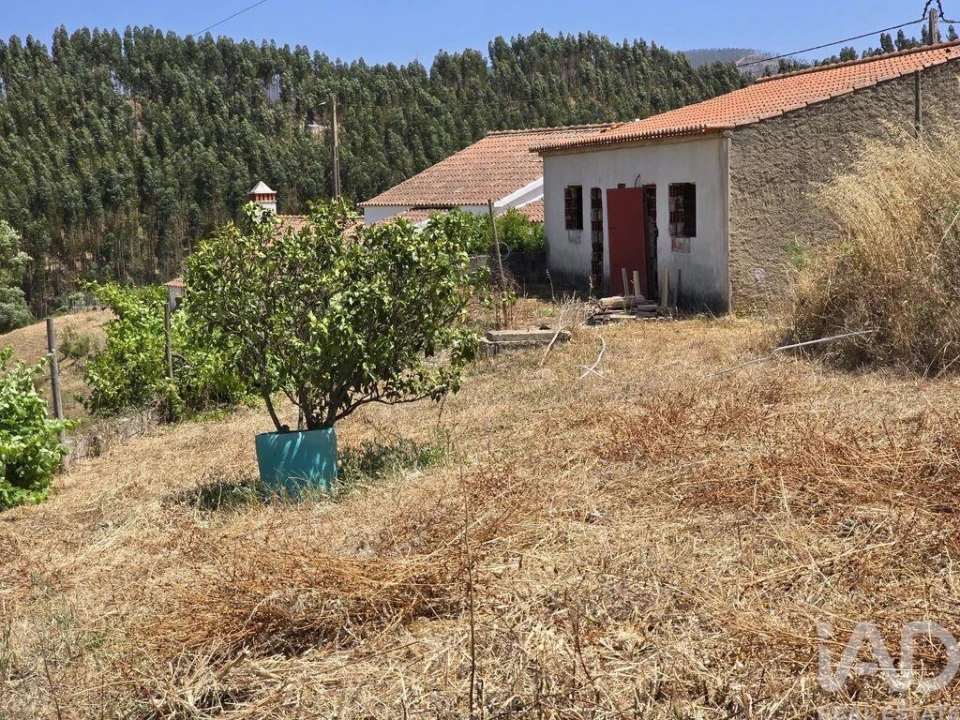 Moradia T2 para Venda em Saboia Foto 5