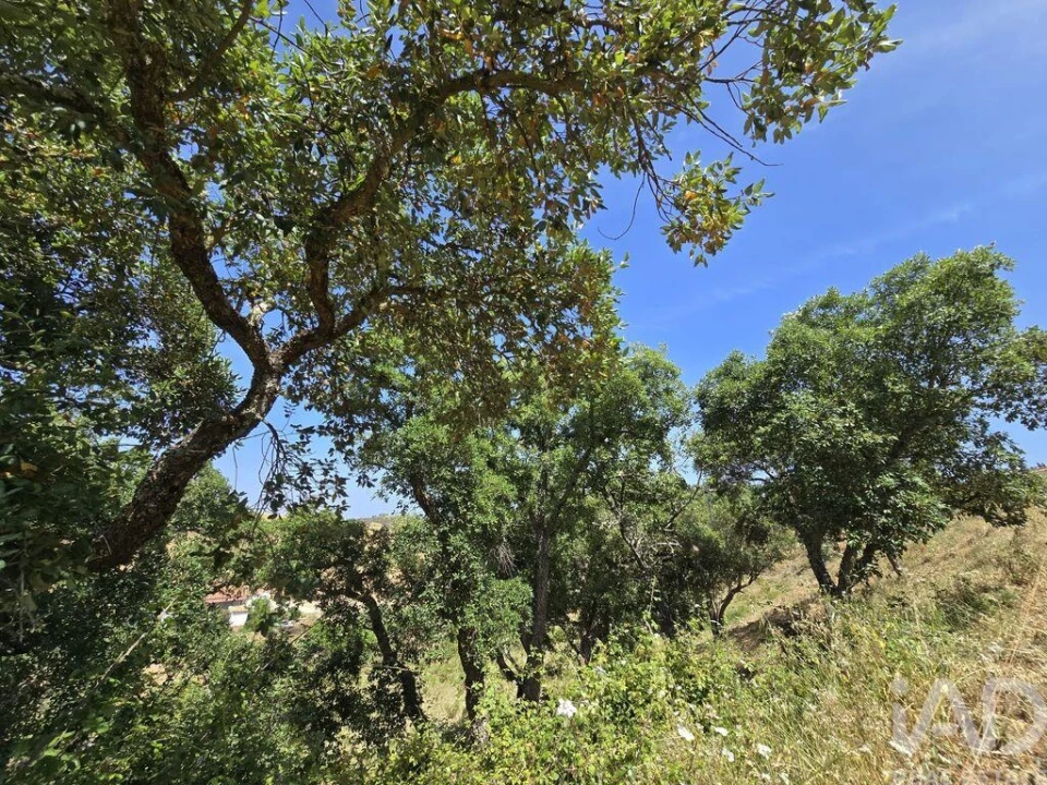 Moradia T2 para Venda em Saboia Foto 21