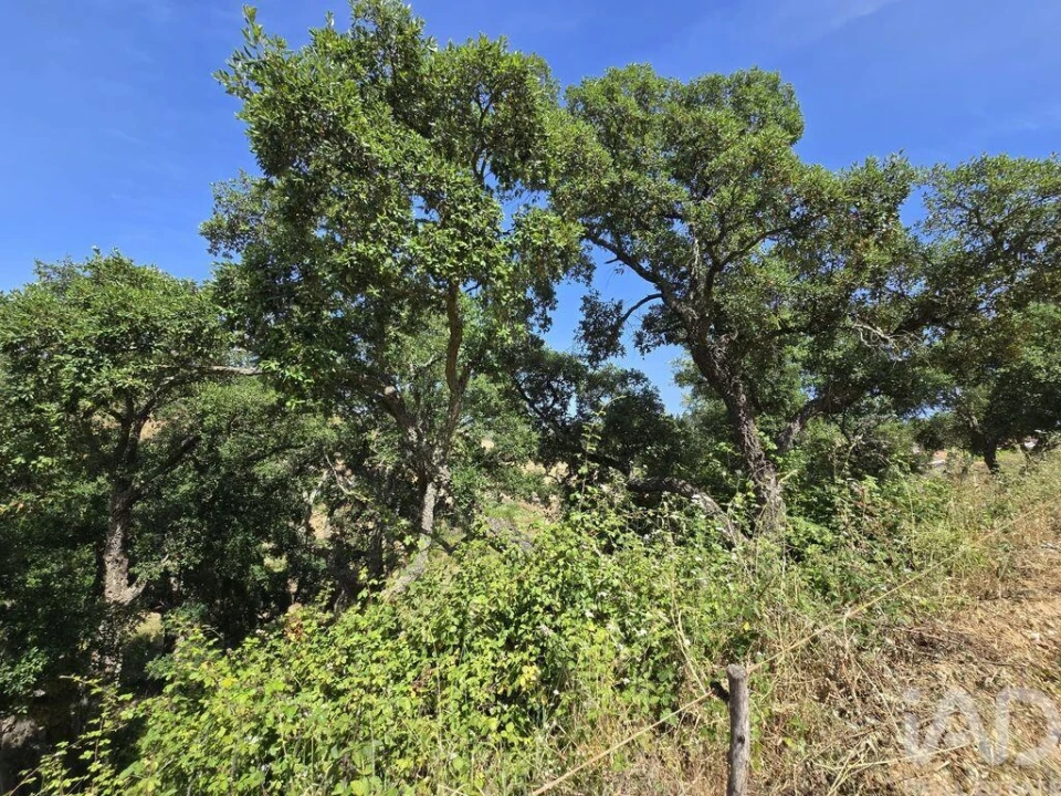 Moradia T2 para Venda em Saboia Foto 17