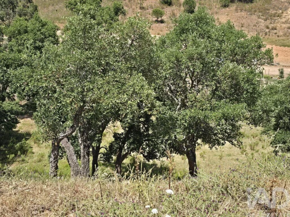 Moradia T2 para Venda em Saboia Foto 20