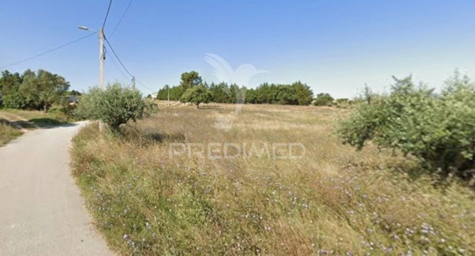 Terreno para Venda em Paialvo Foto 4