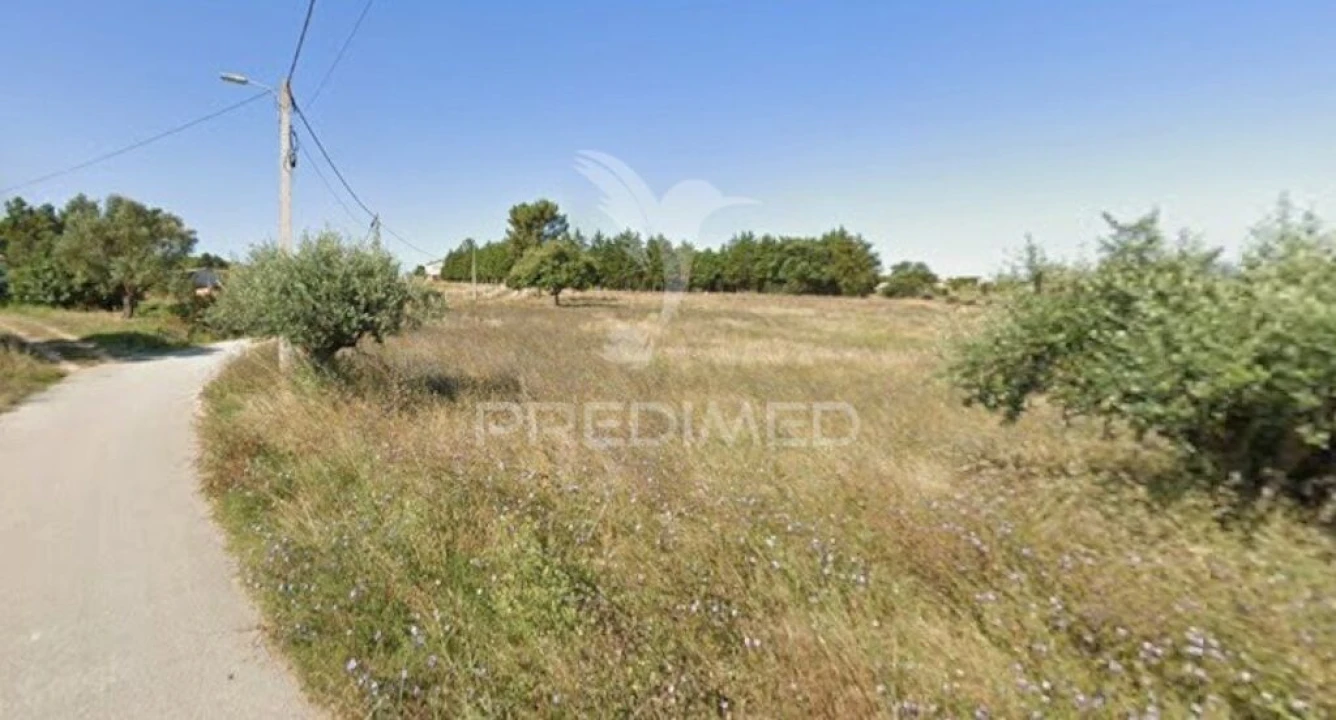 Terreno para Venda em Paialvo Foto 4